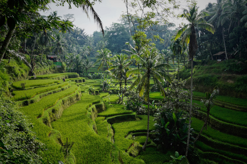 Wakacje na Bali – dlaczego warto odwiedzić tę wyspę?
